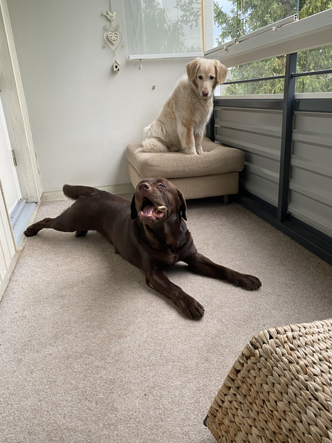 73-C3-A34-C-3-C6-B-4-D89-83-D7-1-EB3-B02