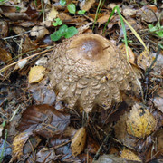 DSC00322