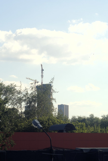 DSC5251.jpg