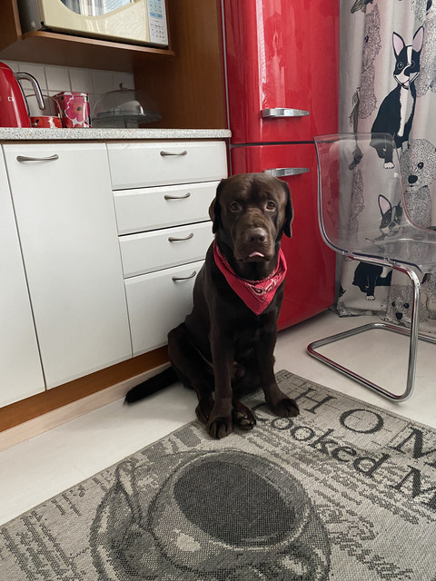 BA4213-D9-9157-4-F50-89-D9-47-C2-B307404