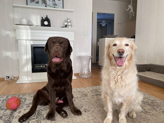 7-E6-F4-AC7-49-CD-4-C7-B-B2-CE-3-AC5-FF0