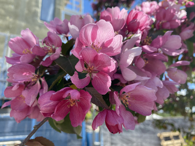 9-F2718-AE-DAB2-4-EF7-A335-C92847-F8-A11