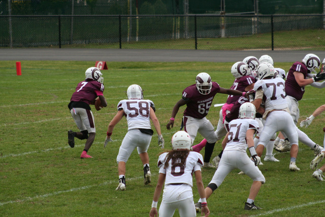 IMG-0268.jpg