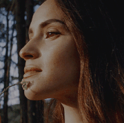 11.gif