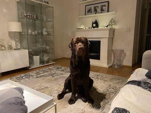 C0-E697-C7-831-A-4-F67-8-A0-F-552-F277-C