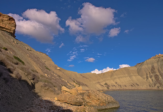 IMGP4690-1.jpg