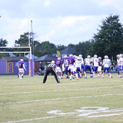 IMG-0317