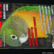 IMG-7820