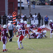 IMG-2230