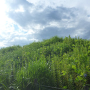 P1330055