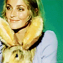 sharonbunny.gif