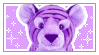 IMG 3477.png