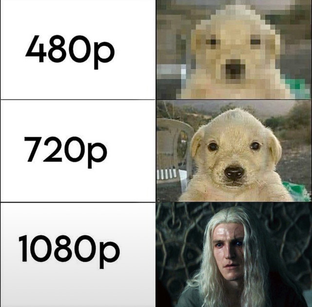 IMG 5128
