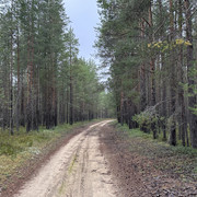 IMG 4987