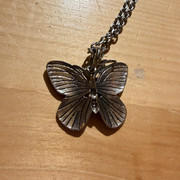 IMG 4547