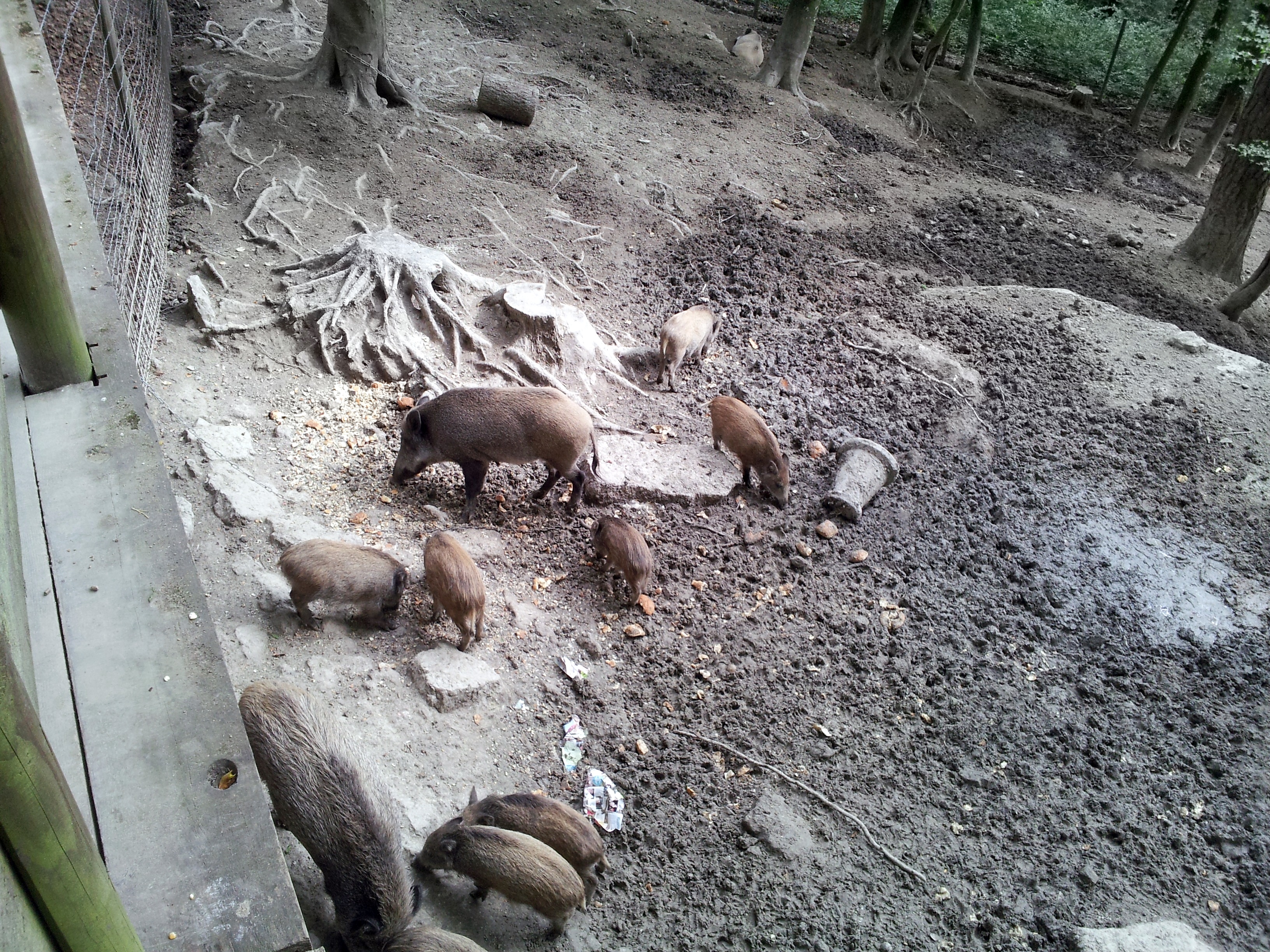 20140823 154419