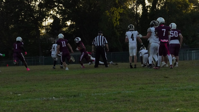 DSC08392.jpg