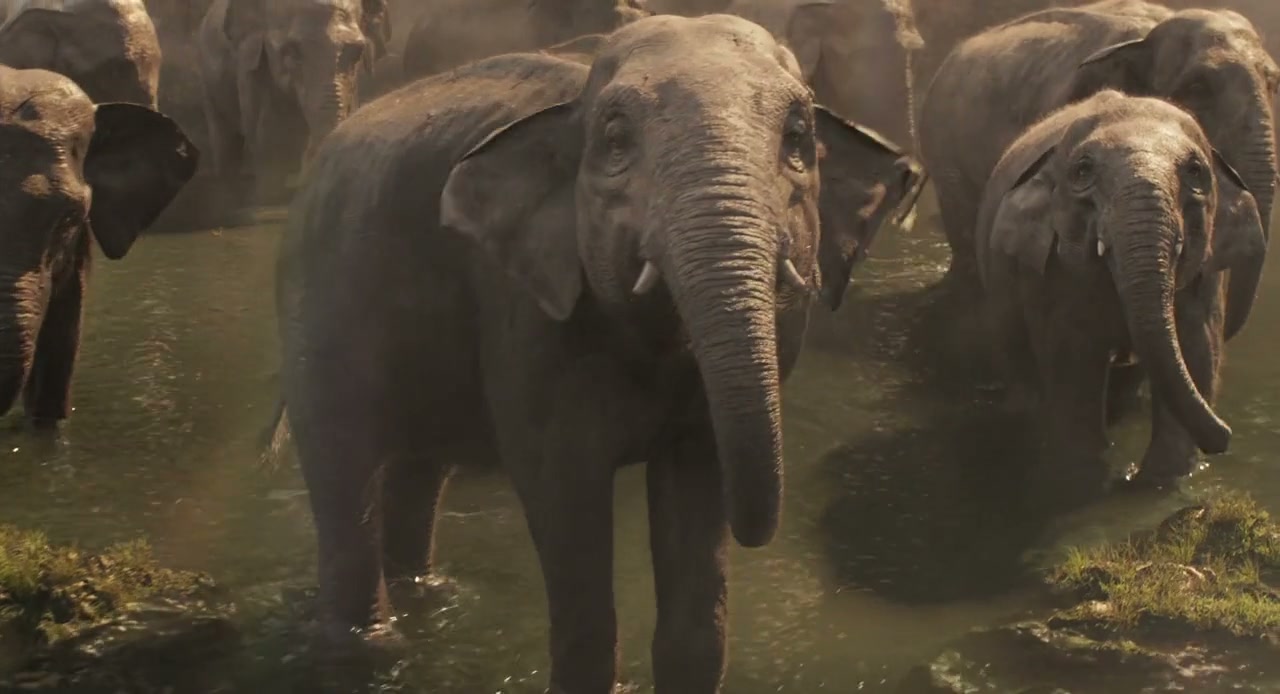 Dumbo Screenshot