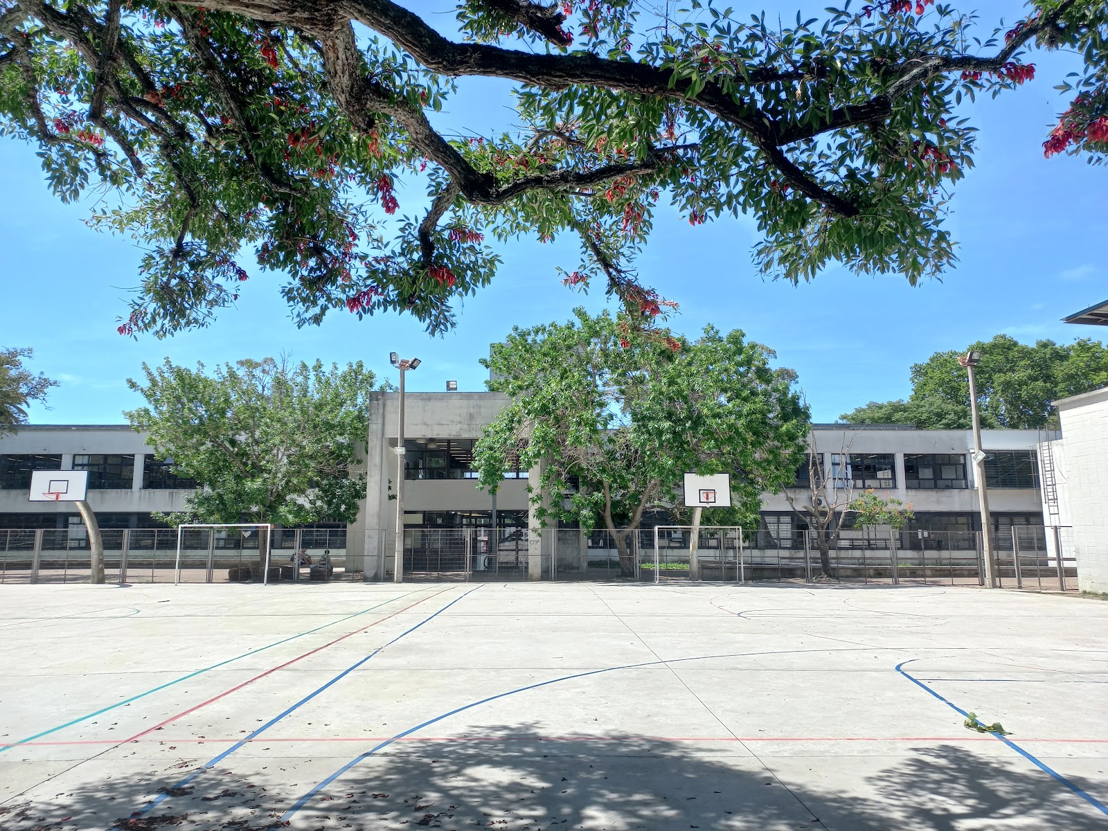 Liceo N° 62