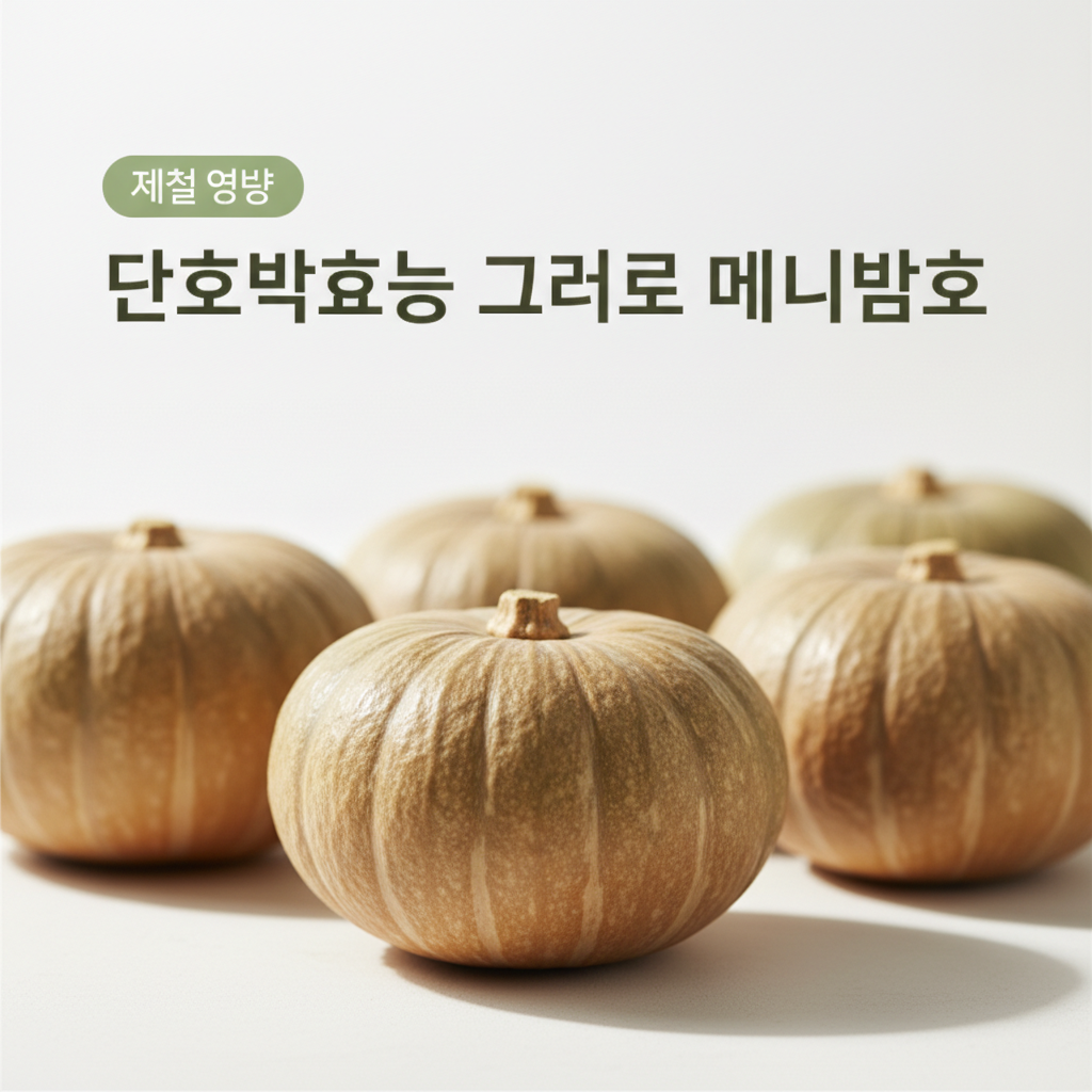 미니밤호박
