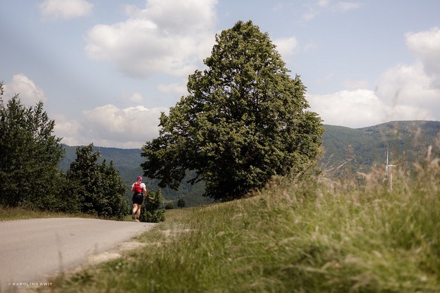 IMG-0462