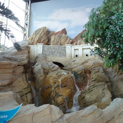 DSC07397
