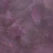 lavenderfields