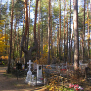 IMG-5471