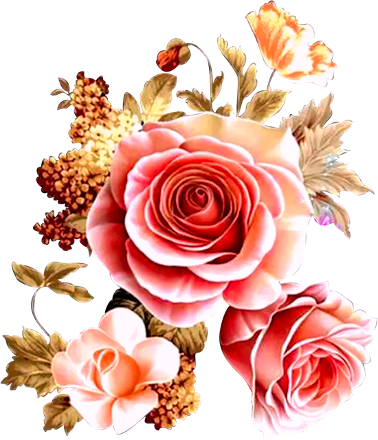 b8db6e35798efb6650e4e59570f8a57e.png