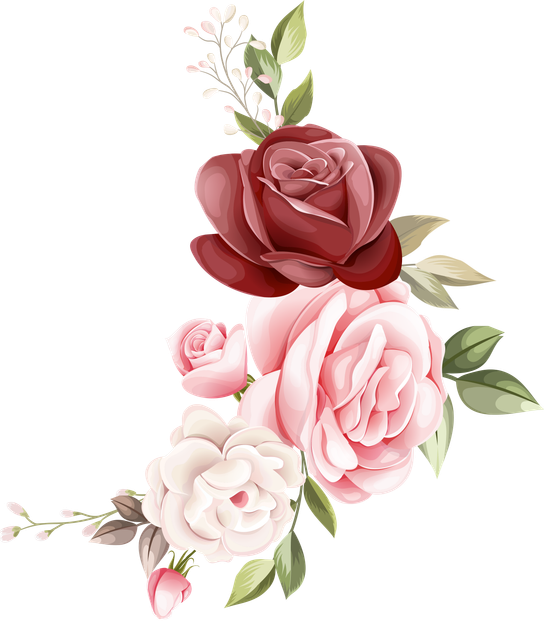 Adobe Stock 530103164.png