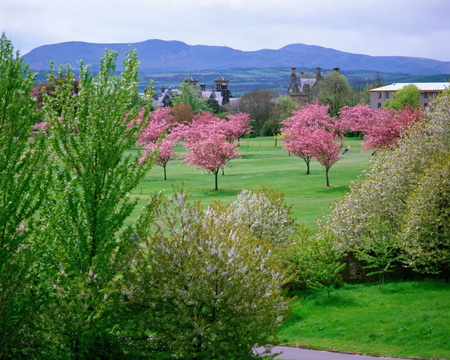 spring-089