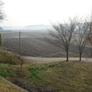 2009-03-17-064