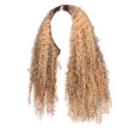 IMG 5909.png