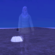 image005
