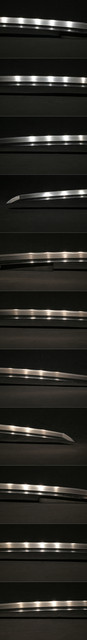 DSC3300.jpg