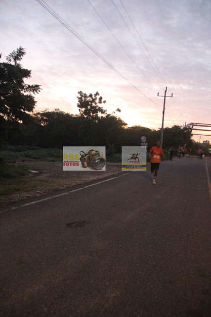 IMG-0101.jpg