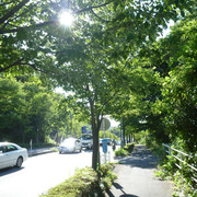 P1340149