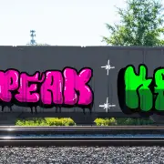 Graffiti artwork by pichin