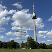 IMG-0559