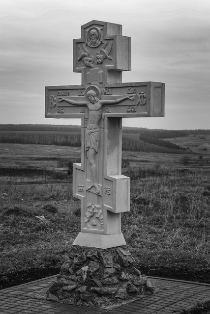DSC05206bw.jpg
