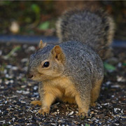 643050