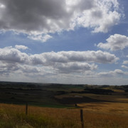 DSCF6172