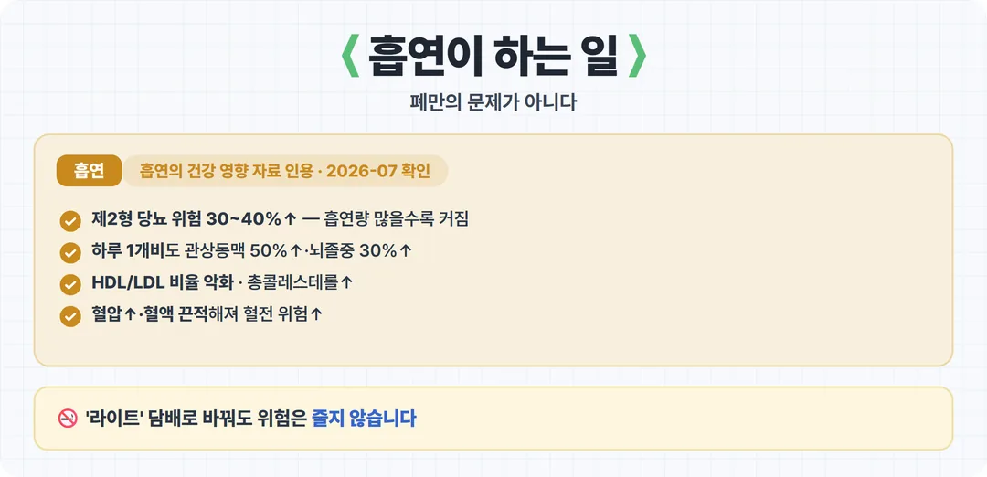 흡연이 대사질환에 미치는 영향 카드