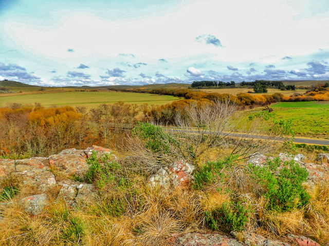 DSCN4971.jpg