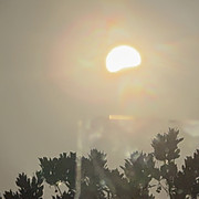 IMG 8540 2