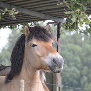 DSC0584