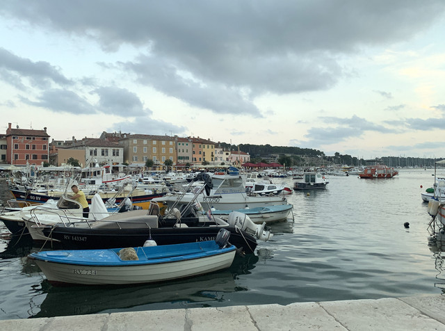 IMG-9342