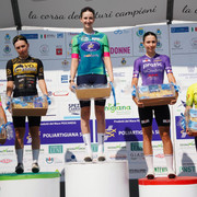 D Agnese
