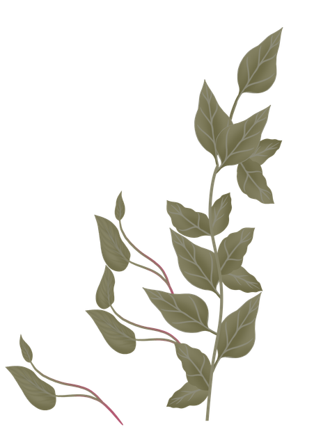 440.png