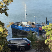 IMG 4121